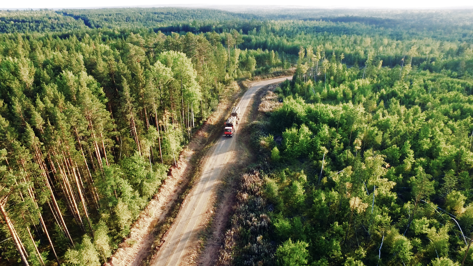  «Илим» реализует проект цифрового учета лесоматериалов на лесных складах и промплощадках