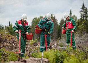 Ilim Groups allocates more than RUB 8 billion for environmental projects in 2021  