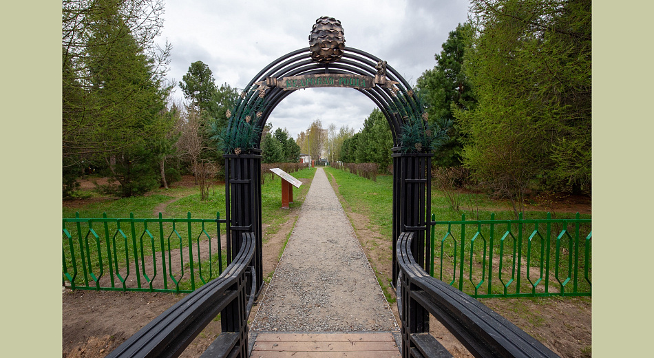 Группа «Илим» стала лауреатом программы «Лучшие социальные проекты России»